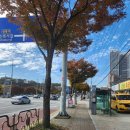 라빈다 | 파크 골프채 가격 심판자격증 기본 정보