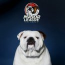 써클켄넬 이미지