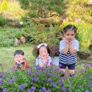 토실토실 2농장 이미지