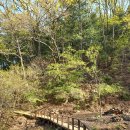 참부모님의 대신 가정으로서 천운을 움직이는 가정이 되어야 합니다. 이미지