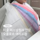 주식회사 베스트칩 | 한국 퍼스널컬러 전문 컨설팅 오콜로르 여의도점 진단 후기 (여름뮤트)
