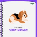 펫도매유통