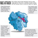 [바이오토픽] 암(癌): Ras 르네상스 이미지
