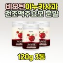 이누카 이미지