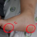 꿈나무아동병원 이미지