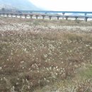 외동마님 이미지