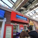 고(GO) 하우스 이미지