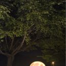 미콩커피안면도점 이미지