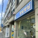 멍실멍실 이미지