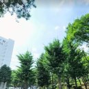 양천나눔누리타운 | 목동의 비상을 함께 날아가는 양천구 신월동, 아파트 임장 후기 (신정뉴타운, 신월시영 재건축)