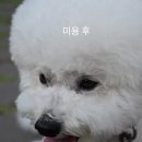 보경 동물병원 이미지