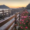 볼레낭게 이미지