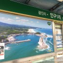 죽도이용소 - 포항시 북구 죽도시장3길 3-14 | 죽도이용소