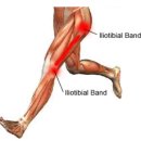 에이플 프리미엄 피티 이미지