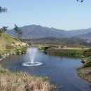 아리솔cc 이미지