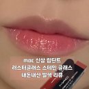 러스터