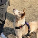 준독트레이닝센터 이미지