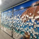 해물천하 조개구이 | 바다수퍼해물천하 조개구이 거북섬점, 재방문은 고민됐던 솔직 리뷰