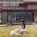 평창듀오애견수영장계곡펜션 | 강원도 평창 애견펜션 ‘레오네펜션’ 견종 제한 없는 대형견, 다견 독채펜션