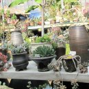 초원농장 이미지