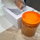 동보농장 | 영월이룸농장 비타민나무열매 여름철 건강 UP