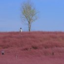 신소양체육공원 이미지