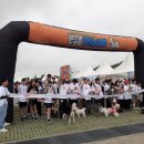 댕댕이를 부탁해 이미지