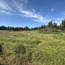 표선리-10 이미지