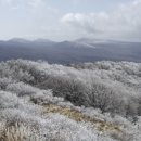 비자림빌리지2 이미지