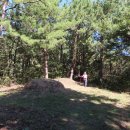 함평향교초등학교 이미지