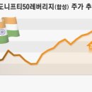 '넥스트 차이나’로 주목받는 이 곳… 인도 ETF에 베팅하는 개미들 이미지