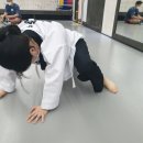 이동희태권도 이미지