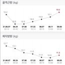 플린프로필 이미지