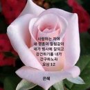 은혜 이미지