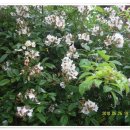 한뫼마루 이미지