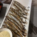 김사부회;초밥