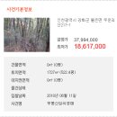불은면-11 이미지