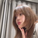 박정현헤어