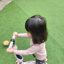 Stay&Garden
