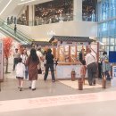 수원-1689 이미지