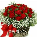 단비야 고마워 이미지