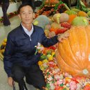 의료법인 청십자의료재단 이미지