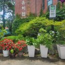 카사델철이 이미지