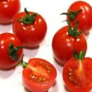 토마토식당 이미지