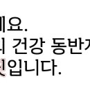 널스홈핏