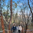 다남로 165번길 이미지