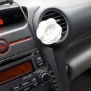 사천세차장 이미지