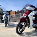 대림카모터스 이미지