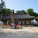 마곡사가는길