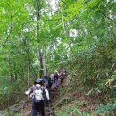 의신슈퍼 | 산행후기_mr.j 91 경남하동 서산대사길 대성골 4